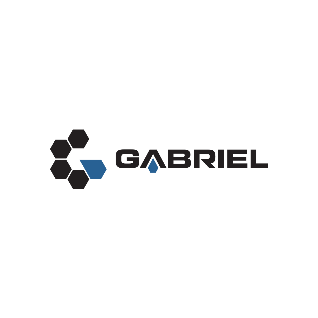 Gabriel Performance Products 