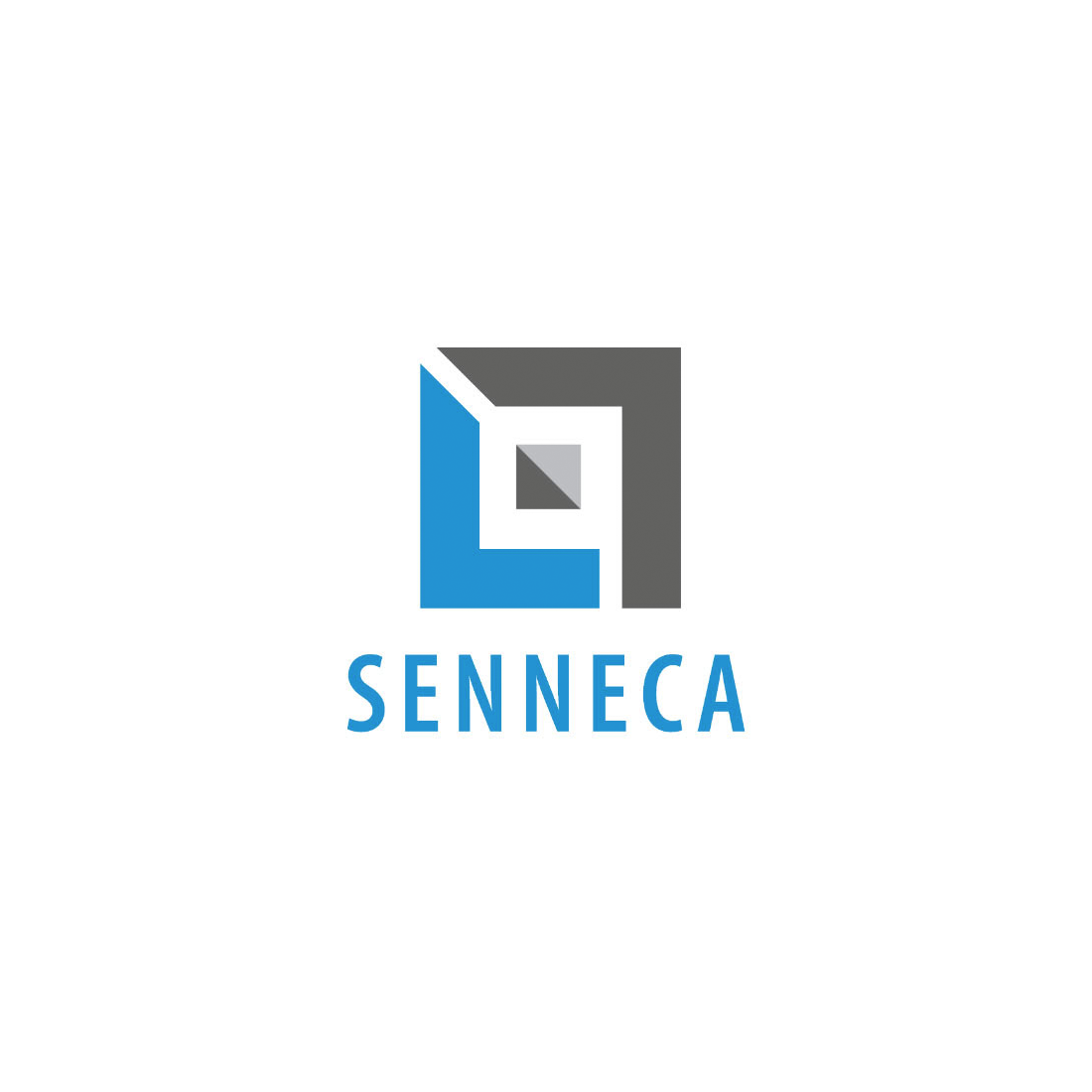 Senneca Holdings Incorporated 
