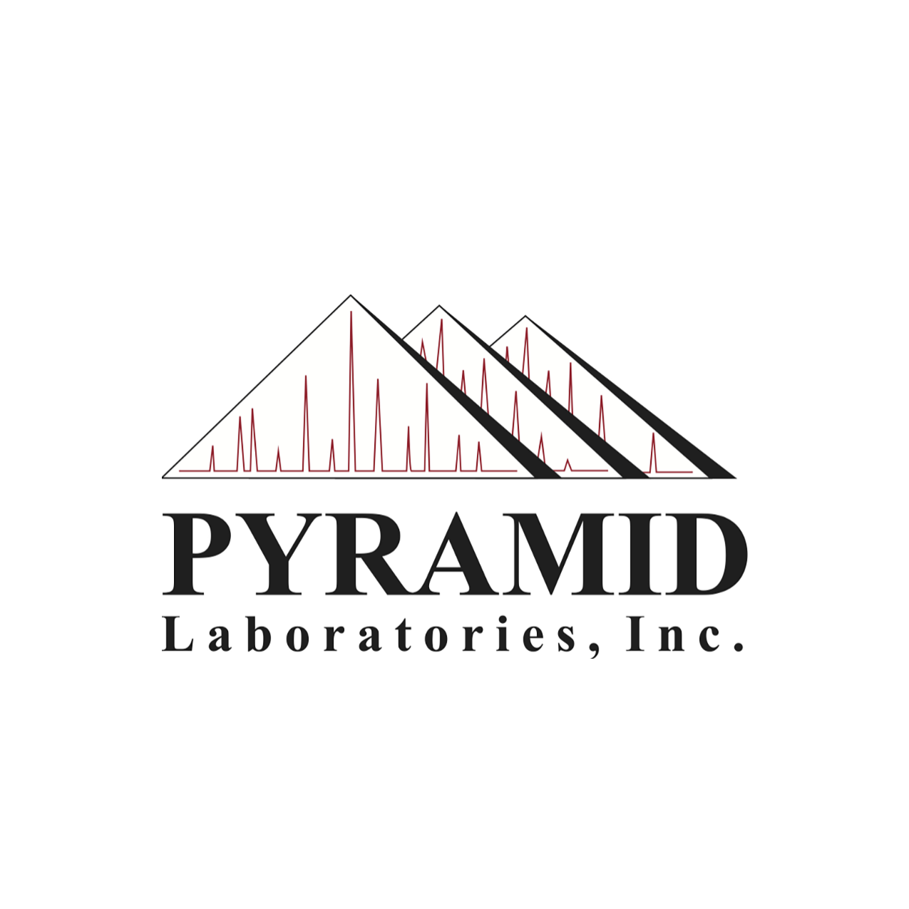 Pyramid Labs Logo